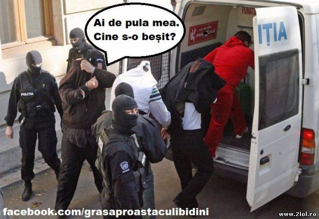 De ce își acoperă infracotrii fața | poze haioase