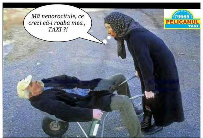 Îi folosește femeii roaba pe post de taxi | poze haioase