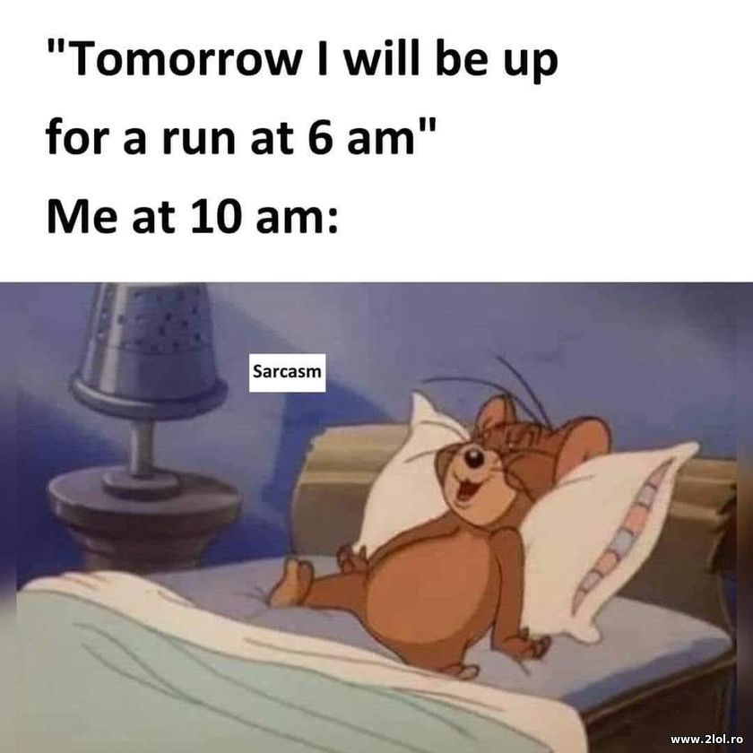 Tomorrow I will be up for a run at 6am | poze haioase