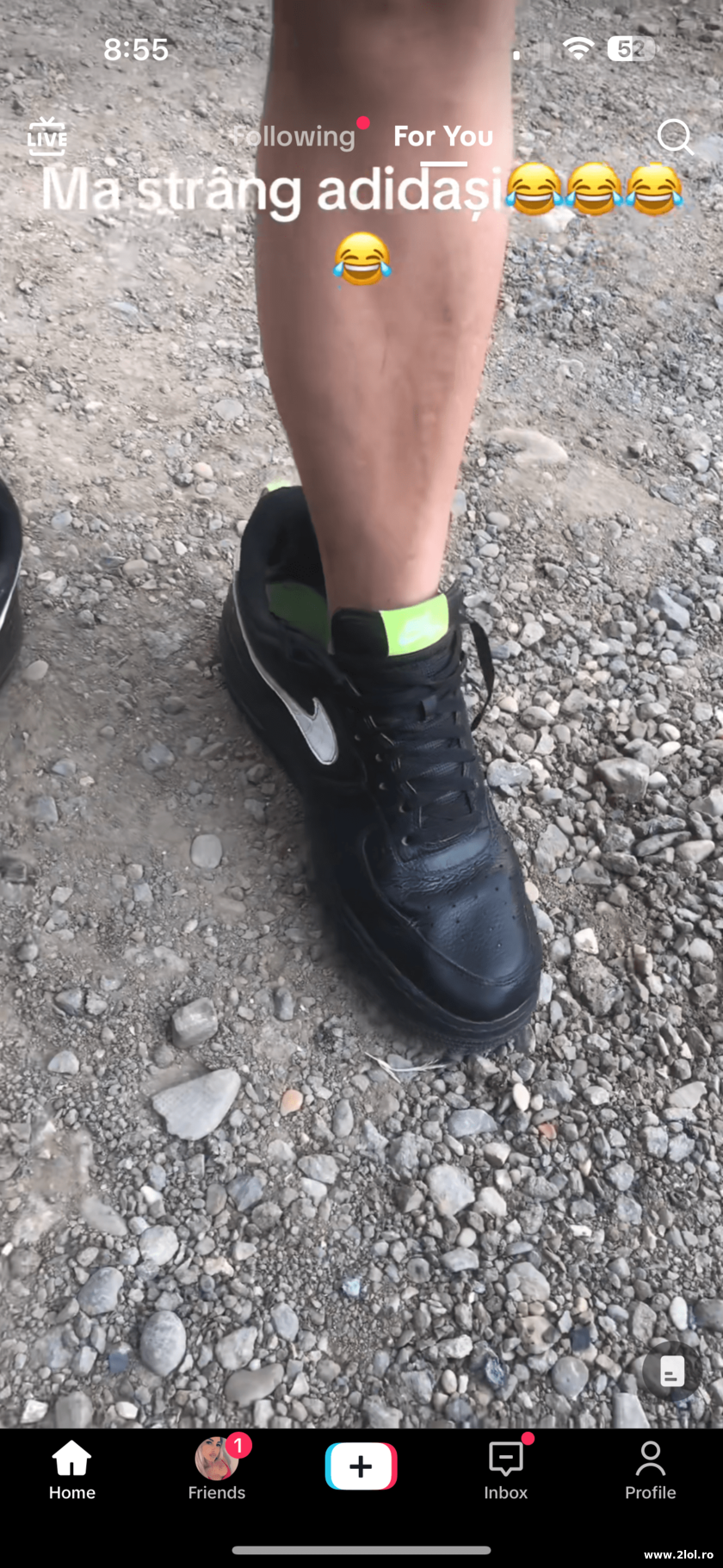 Ma strang adidasi | poze haioase