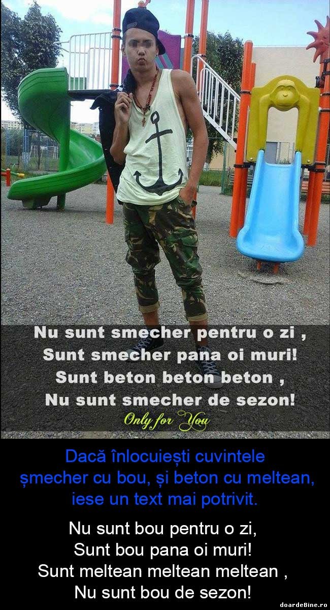 Înlocuiește șmecher cu bou și beton cu meltean | poze haioase