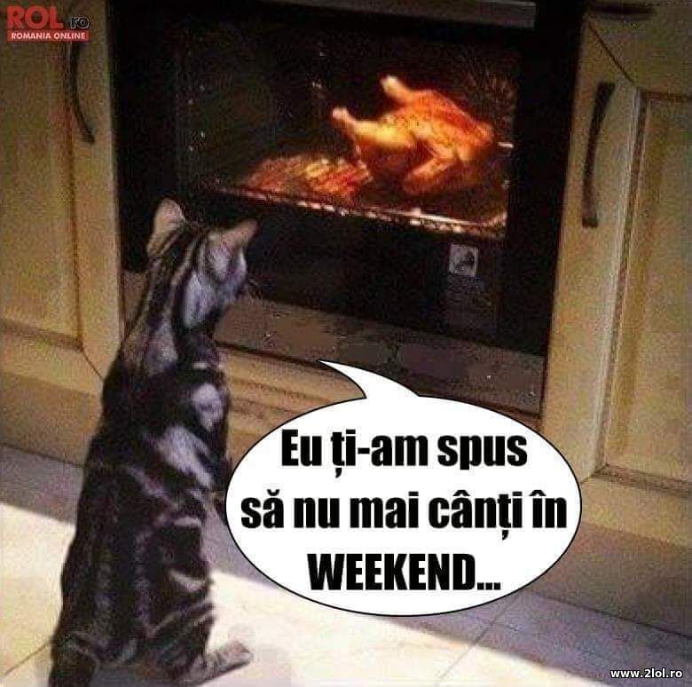 A cantat in weekend | poze haioase