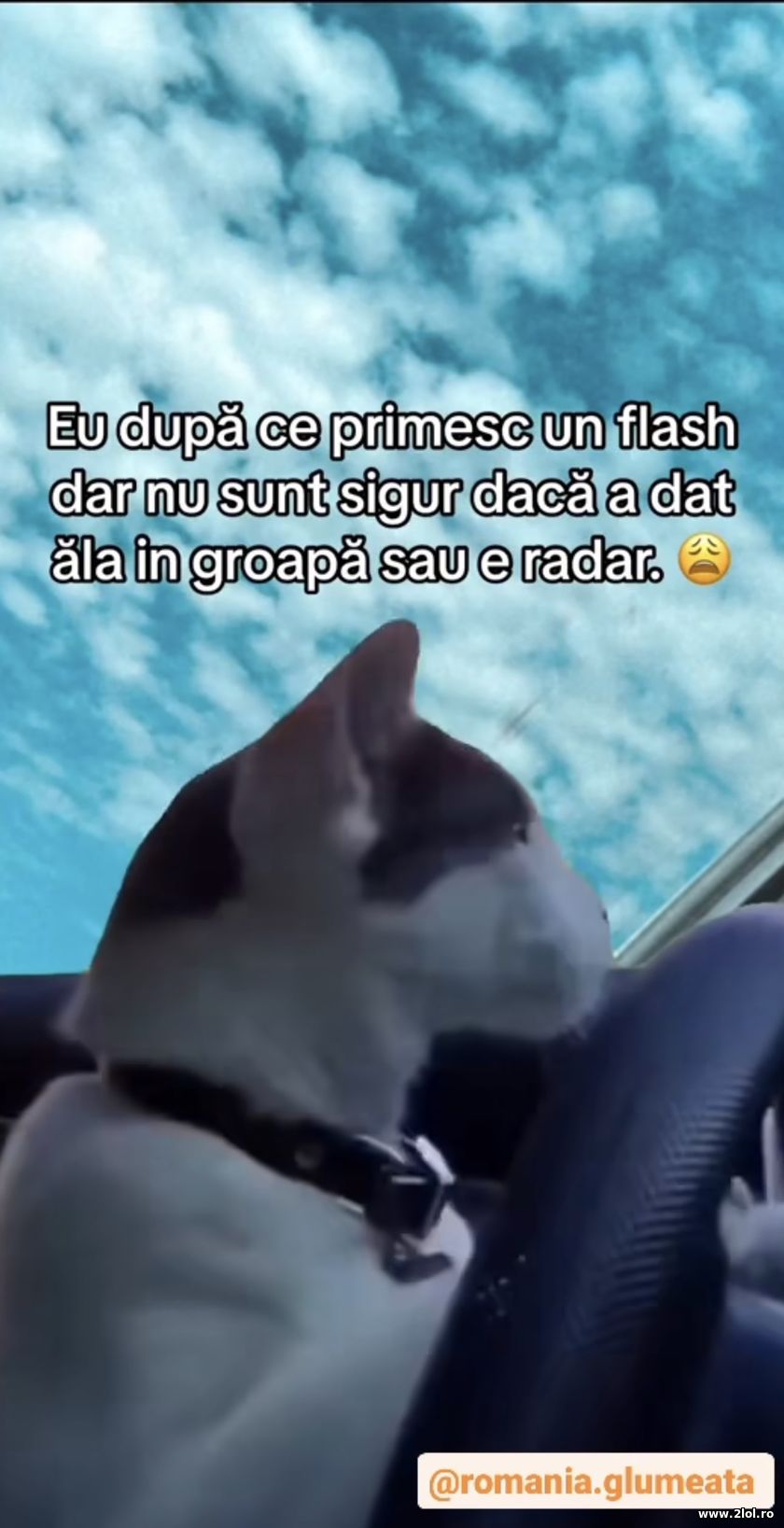 Eu dupa ce primesc un flash | poze haioase