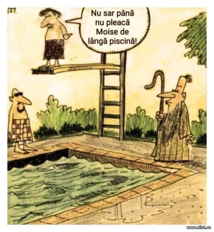 Nu sar | poze haioase