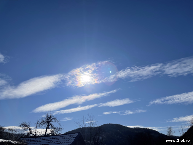 Cand e soare fain afara | poze haioase