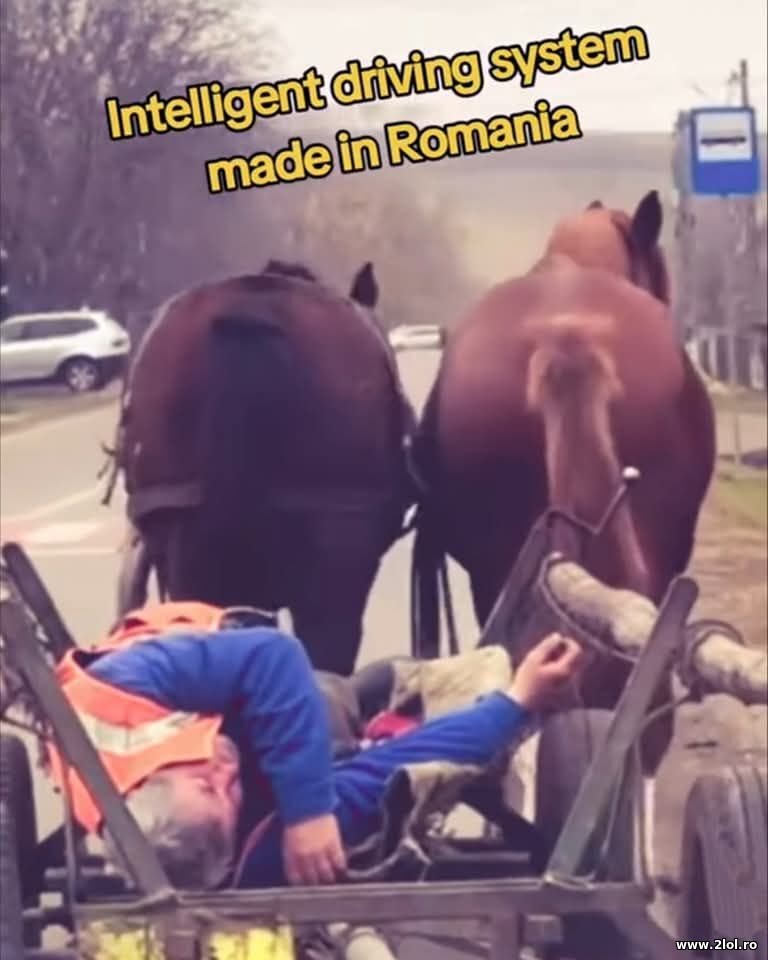 Inteligenta Artificiala | poze haioase