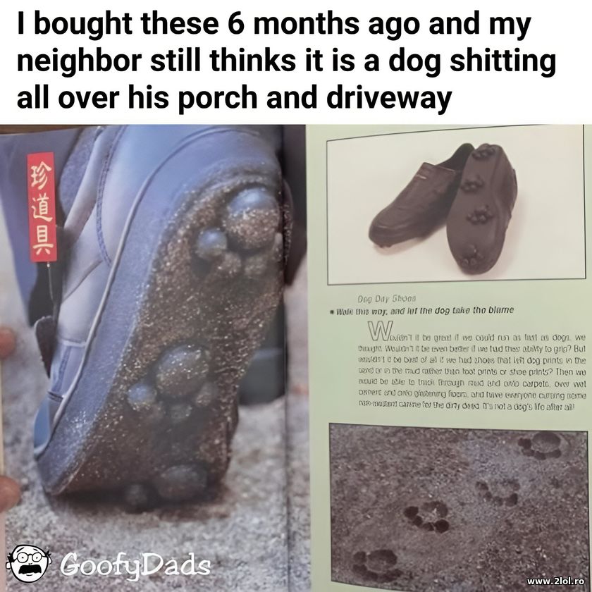 I bought these 6 months ago | poze haioase