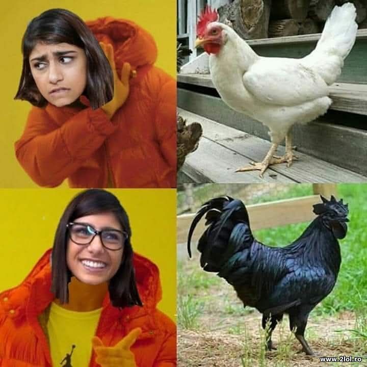 Ce ii place la Mia | poze haioase