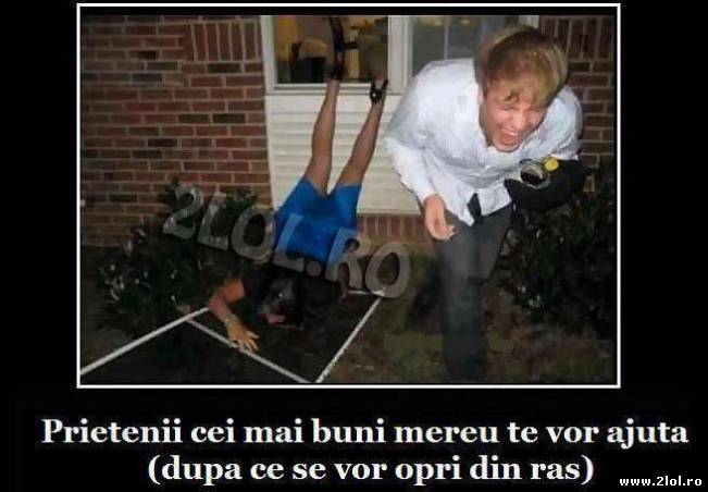 Când te vor ajuta prietenii cei mai buni | poze haioase