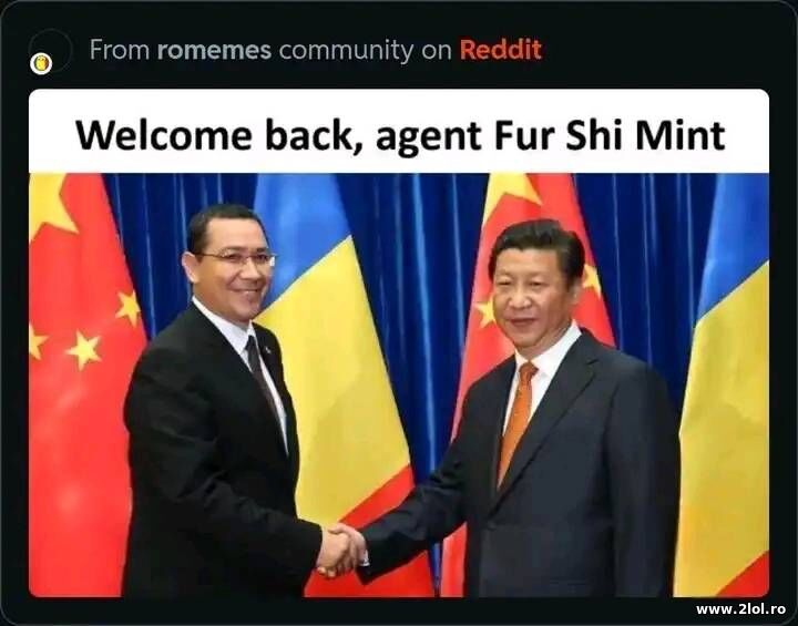 Bine ai revenit agen Fur si Mint | poze haioase