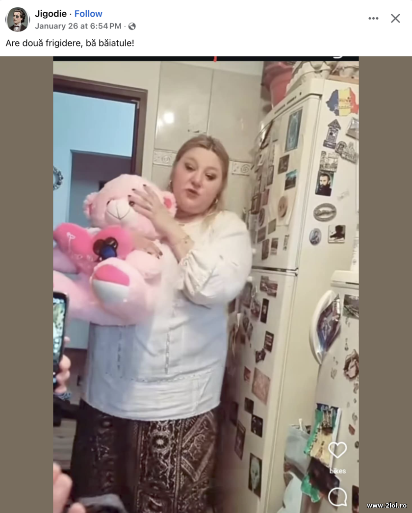 Are două frigidere, bă băiatule! Diana Sosoaca | poze haioase