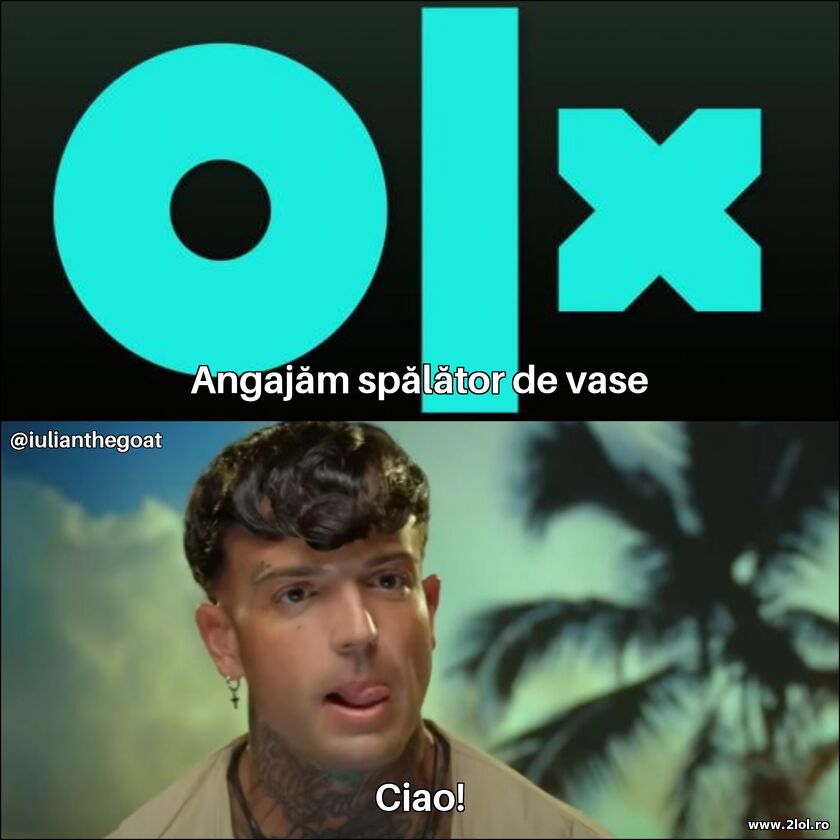 Angajam spalatori de vase | poze haioase