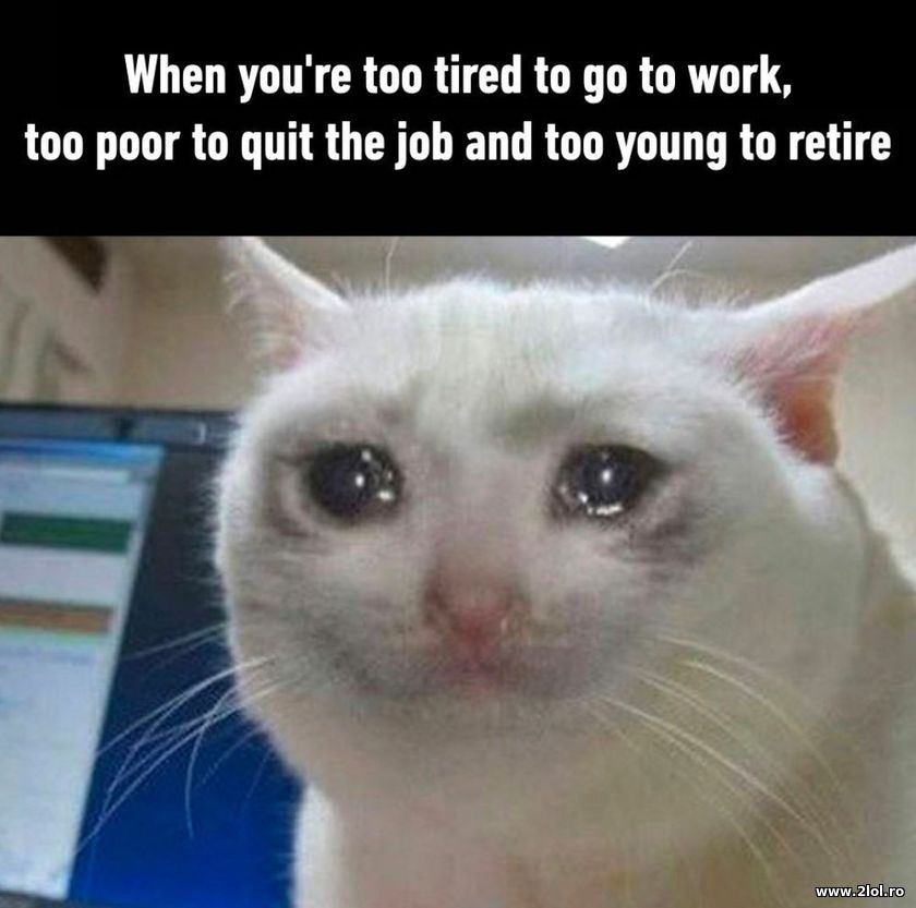 When you're too tired to go to work | poze haioase