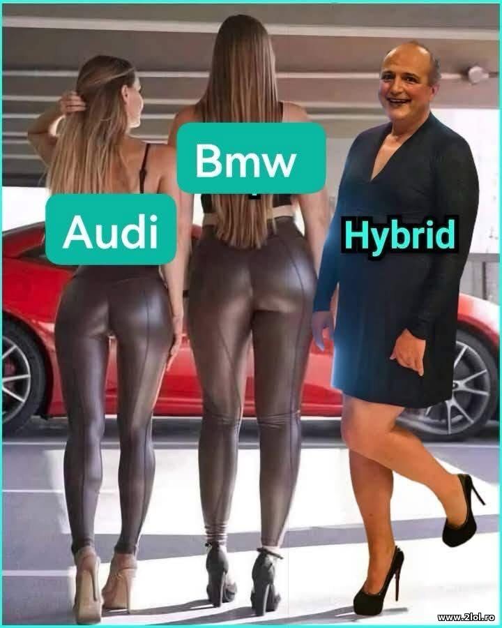 Hybrid | poze haioase