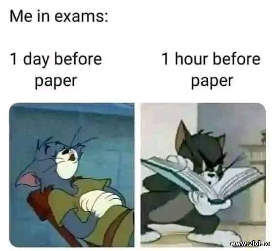 Me in exams poze haioase