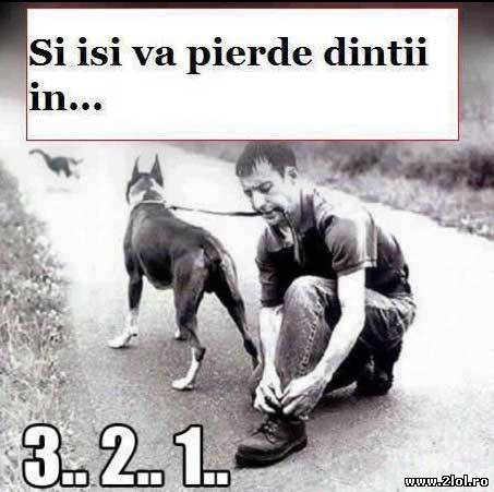 Din categoria cum să-ți scoți dinții gratuit poze haioase