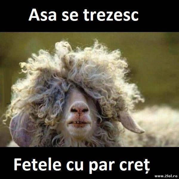 Dimineaţa fetelor cu păr creţ poze haioase