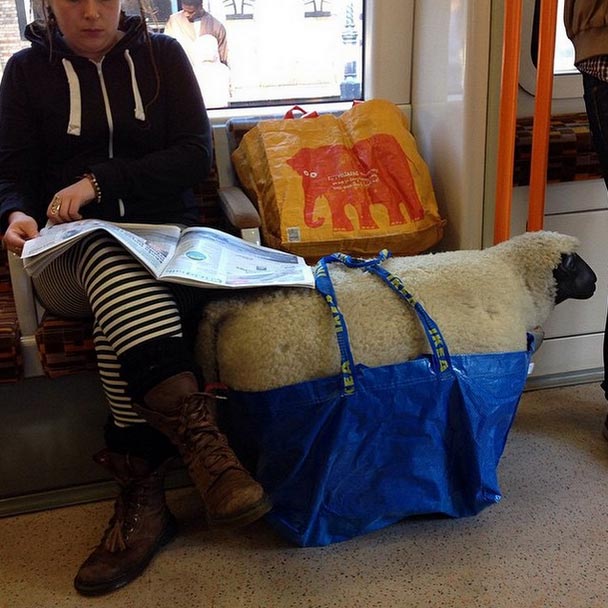 O fană a Iuliei Albu? poze haioase