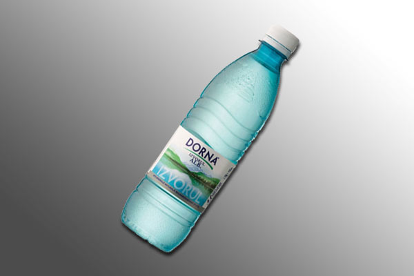 Cea mai bună prietenă, după noaptea de revelion poze haioase