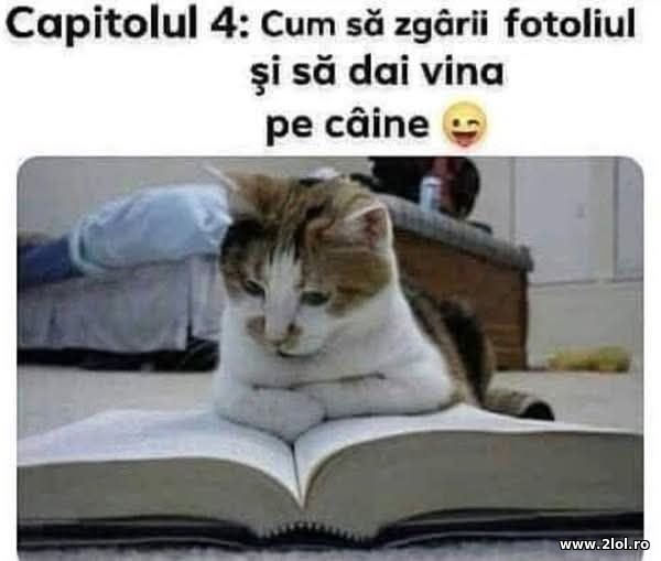 Capitolul 4 poze haioase