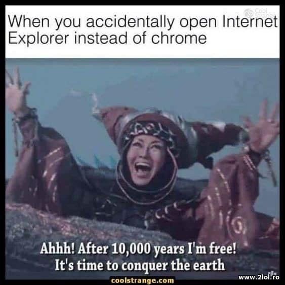 When you accidentally open Internet Explorer poze haioase