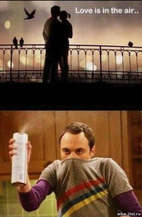 Când este prea multă dragostea în aer poze haioase