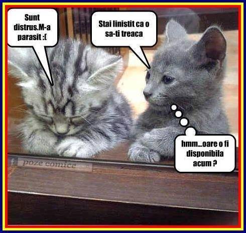 Oare fetele gândesc la asemănător? poze haioase