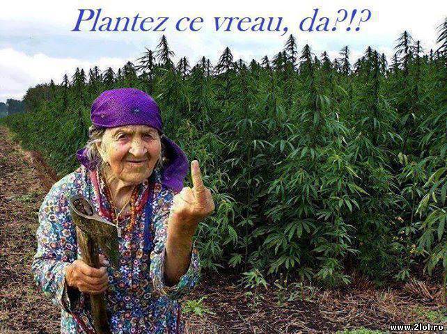 Păi da, bunica are dreptate! poze haioase