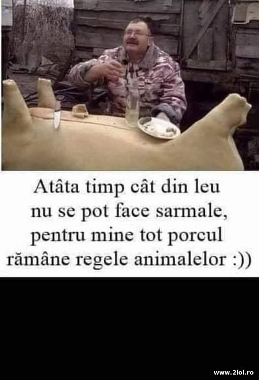 Atata timp cat din leu nu se pot face sarmale poze haioase