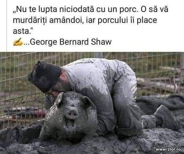 Nu te lupta niciodata cu un porc poze haioase