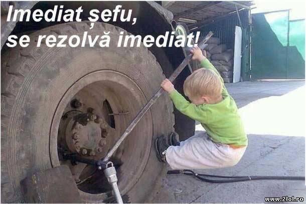 Imediat șefu, se rezolvă imediat poze haioase