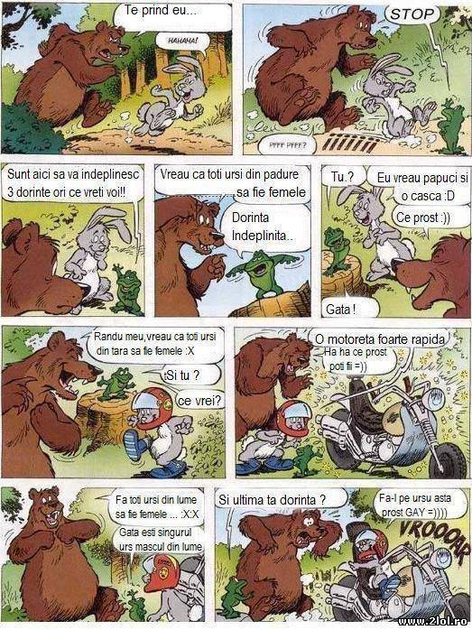 Când ursul și iepurele primesc 3 dorințe poze haioase