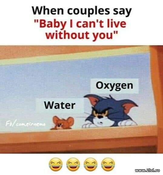 When couples say: "I can't live without you" poze haioase