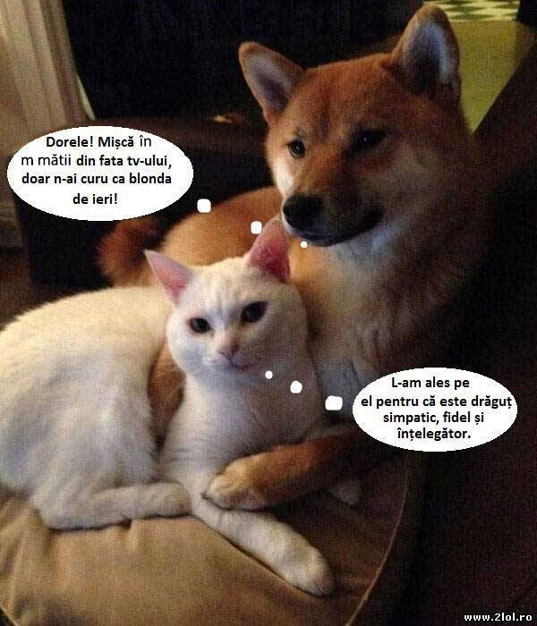 Oare femeile tot pe aceași criterii aleg bărbații poze haioase