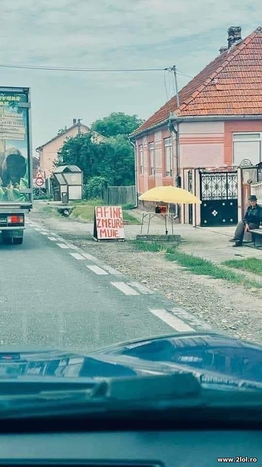 Are de toate poze haioase