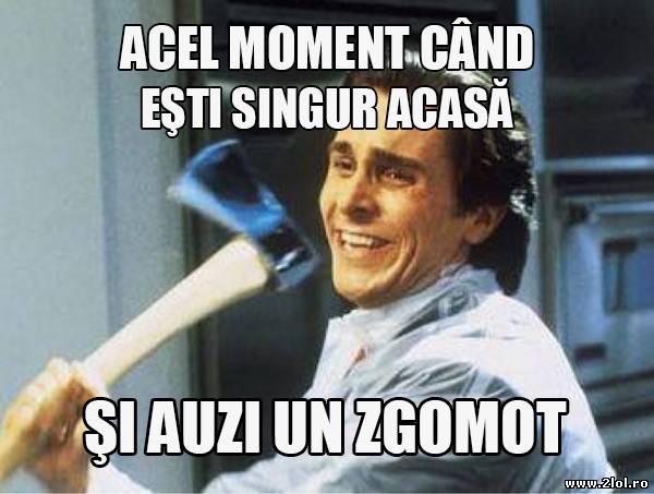 Când eşti singur acasă şi auzi un zgomot poze haioase