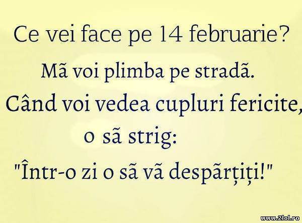 Ce vei face de Ziua Îndrăgostiților? poze haioase