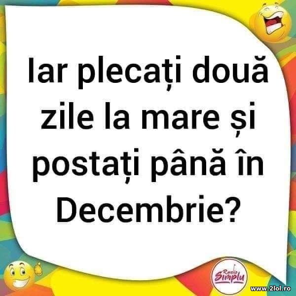 2 zile la mare si postari pana in Decembrie poze haioase
