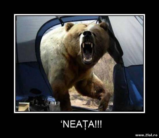 De atfel de dimineți sigur n-ai vrea să ai parte poze haioase