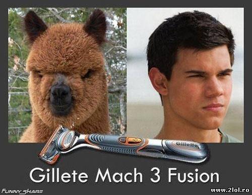 Gilette te transformă în om! poze haioase