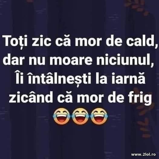 Toti zic ca mor de cald dar nu moare niciunul. Ii poze haioase