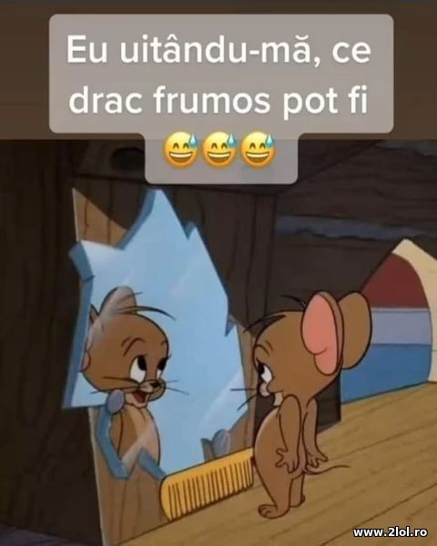 Uitandu-ma de drac frumos pot fi poze haioase