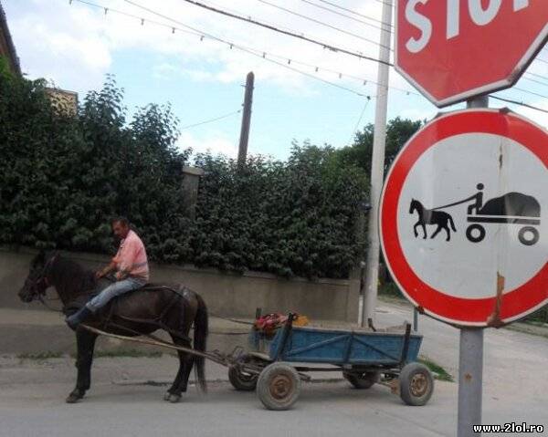 Problemă rezolvată! Acum are voie poze haioase