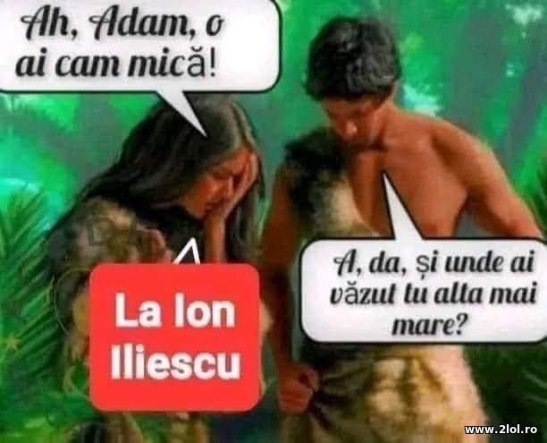 Adam, o ai cam mica poze haioase