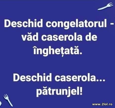 Deschid congelatorul vad caserola de inghetata poze haioase