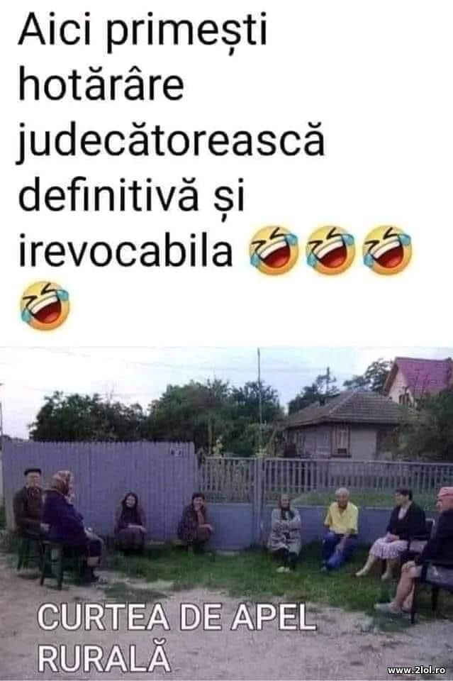 Aici primesti hotarare judecatoreasca definitiva poze haioase