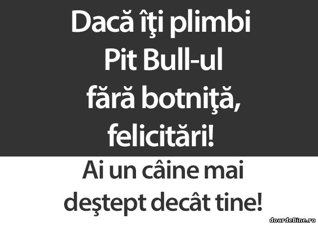 Animalele care îşi plimbă câinele fără botniţă poze haioase