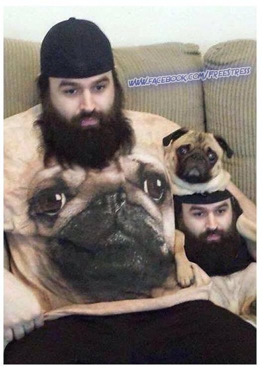 Asortati poze haioase