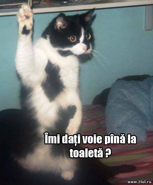 Singurul moment din timpul orei când ridici mâna poze haioase