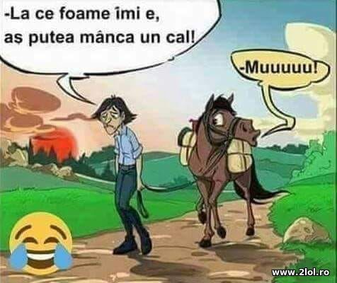 La ce foame imi e poze haioase